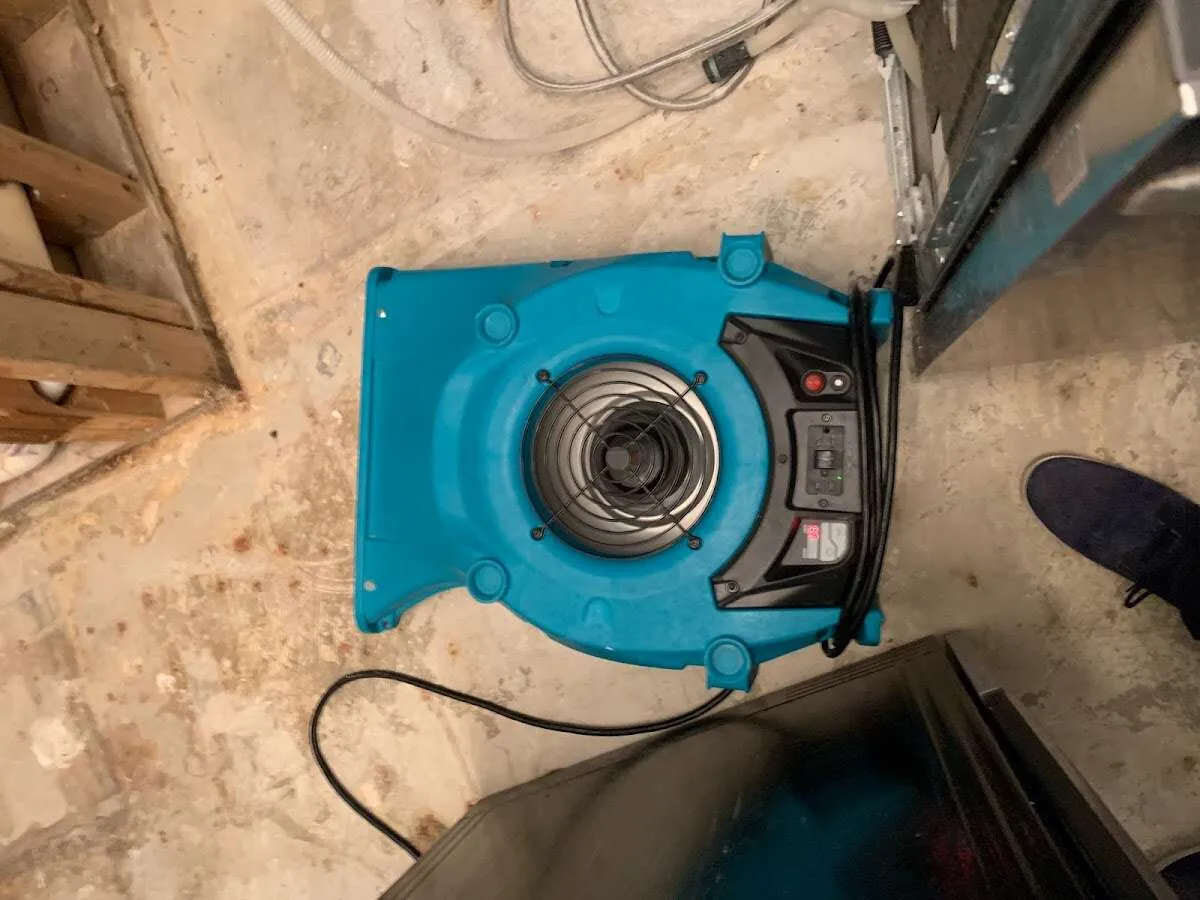 Air mover drying equipment for Mold Remediation & Removal in Mount Vernon