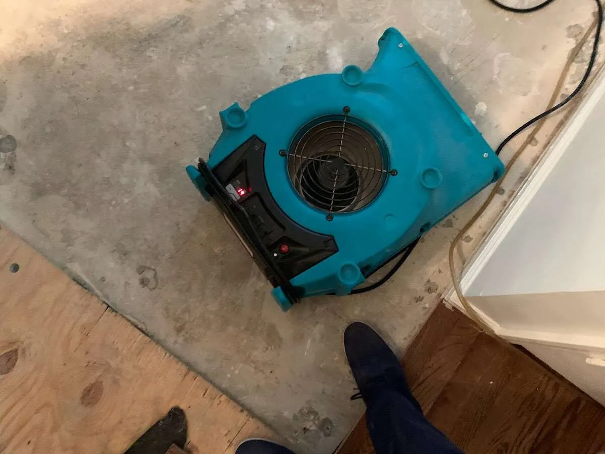 Air mover drying subfloor during Leak Detection & Repair in Mount Vernon